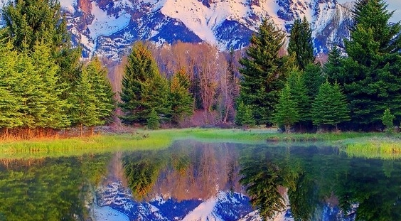 投诉粉象生活电话