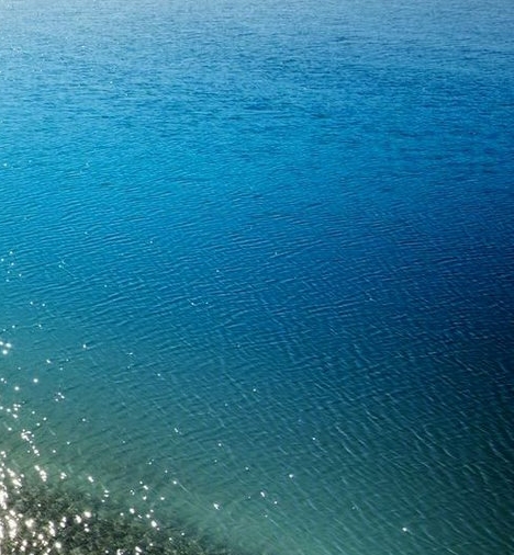 泰安粉象生活积分