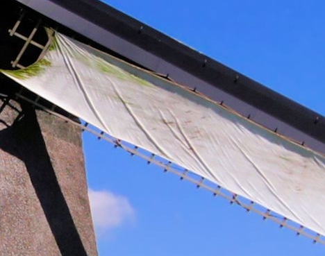 粉象生活推广服务