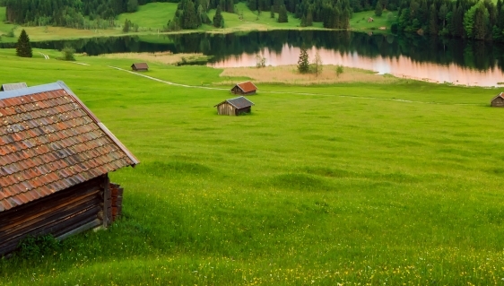 tremens浅粉象啤酒