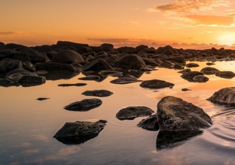 粉象生活下载app