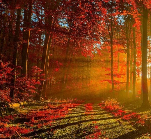 粉象生活能赚到钱吗