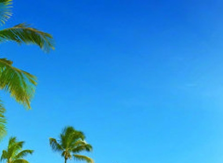 粉象生活是东西好不好