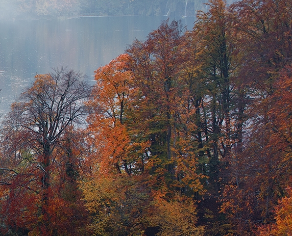 粉象生活的工作人员是谁