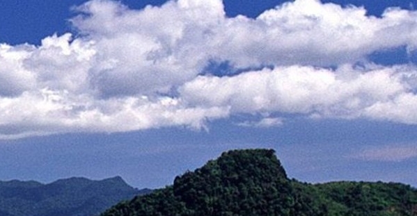 粉象生活的购物怎么样