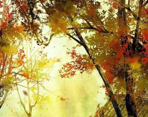 粉象生活公司排名