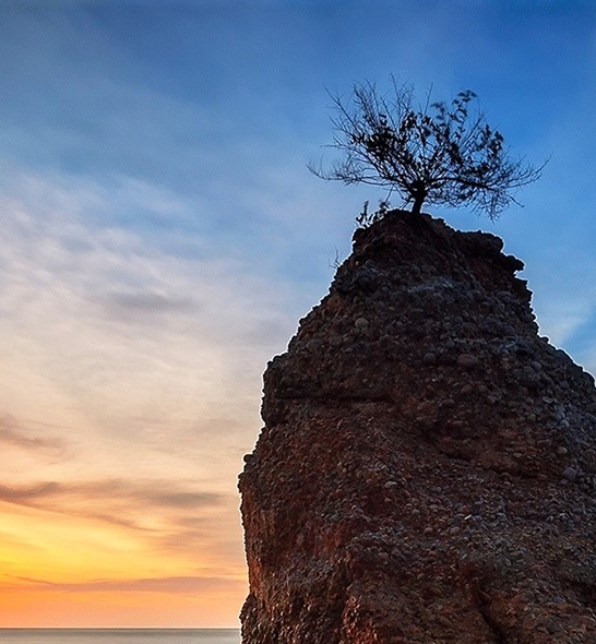 每日好省粉象生活