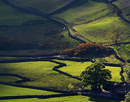粉象生活怎么取消邀请人