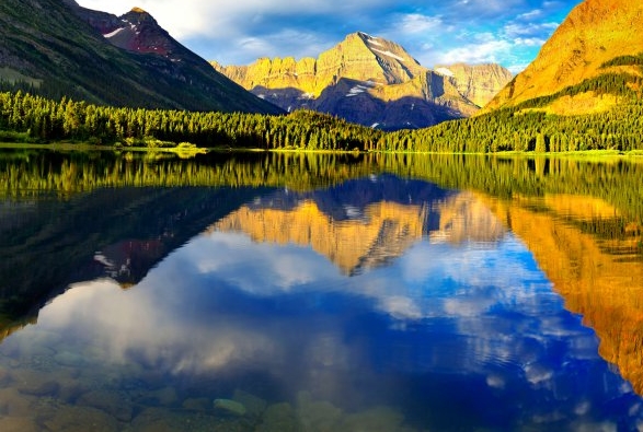 粉象生活下载app