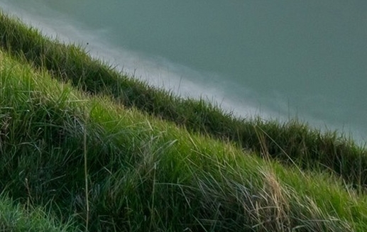 粉象生活app有风险