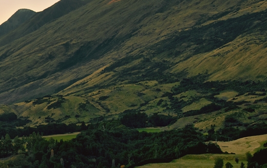 粉象生活代理申请注册流程