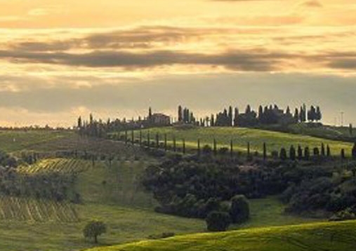 粉象生活创始人是谁