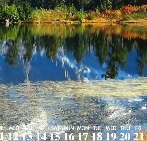 粉象生活挣钱骗人吗