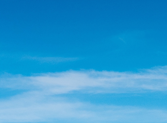 粉象生活搜了网