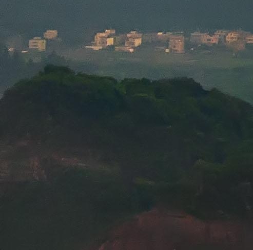 粉象生活泡茶