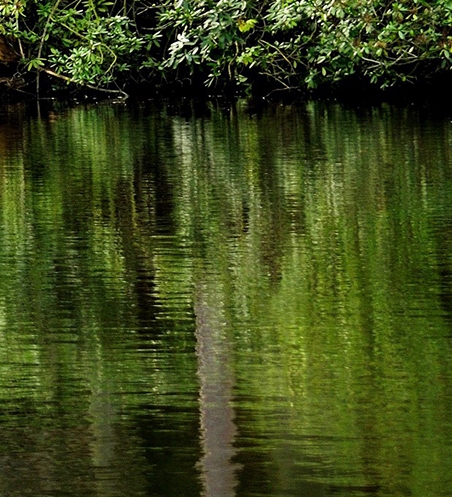 粉象生活短视频