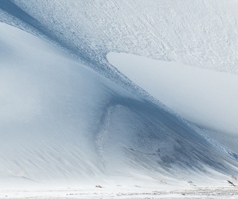 粉象生活app正规吗
