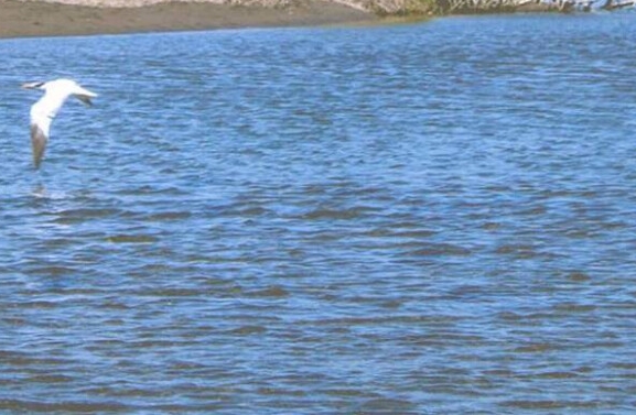 粉象生活有人开通邀请码吗