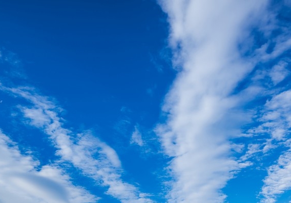 粉象生活下载app