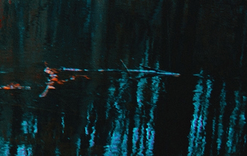 粉象生活下载app