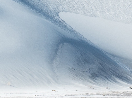 粉象生活领现金真的吗