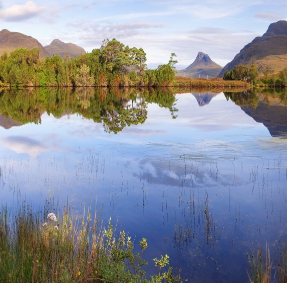 粉象生活无法连接