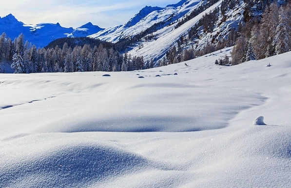 粉象生活邀请码