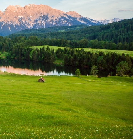 粉象生活问卷答案