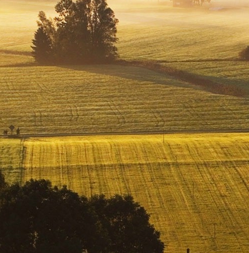 粉象生活彩票中奖