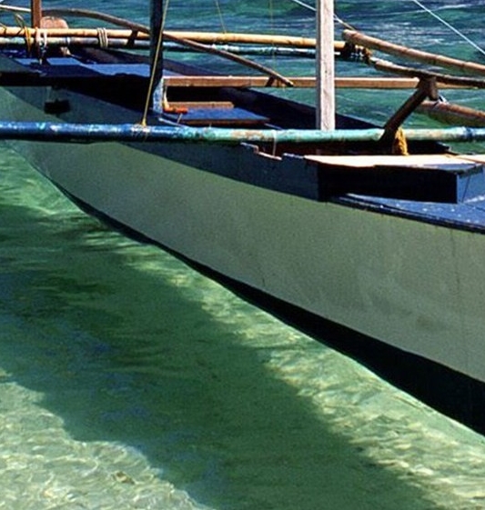 粉象生活粉丝怎么增加