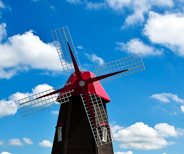 粉象生活叫什么