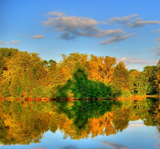 粉象生活粉丝怎么增加