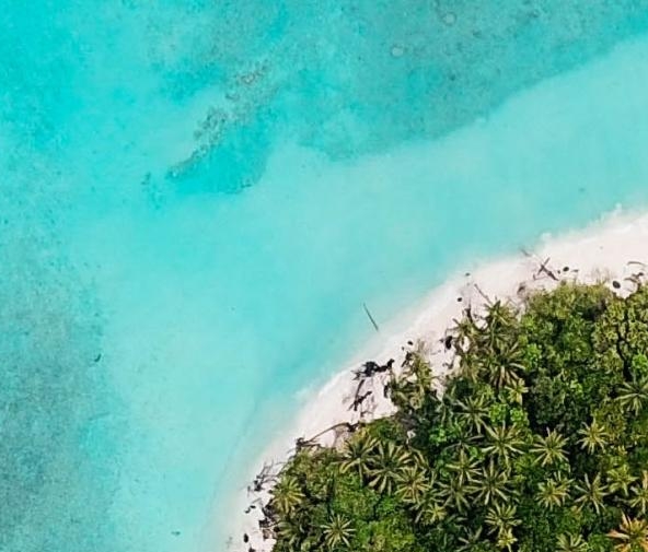 粉象生活上如何下单