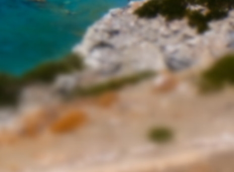 粉象生活哪里联系客服