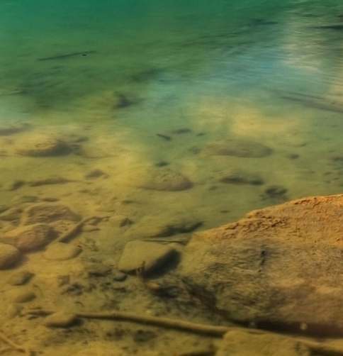 粉象生活客服工资高吗