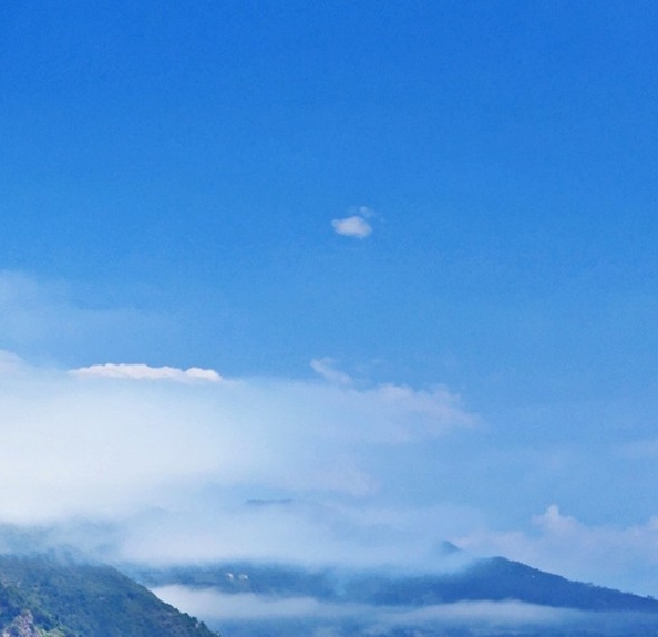 上海品质粉象生活推广