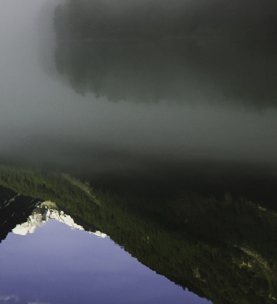 粉象生活商家端在哪