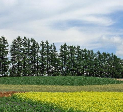 怎样在粉象生活领京东优惠券