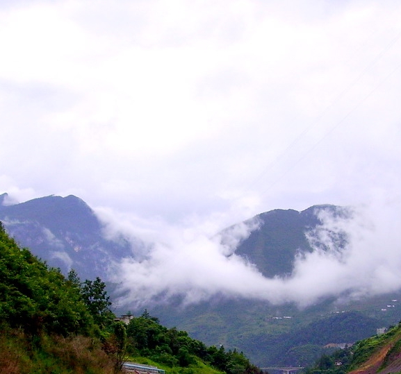 加入粉象生活邀请码