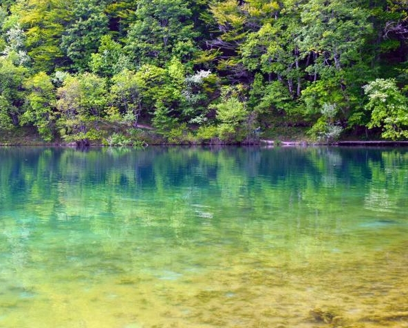 下载掌上生活ApP