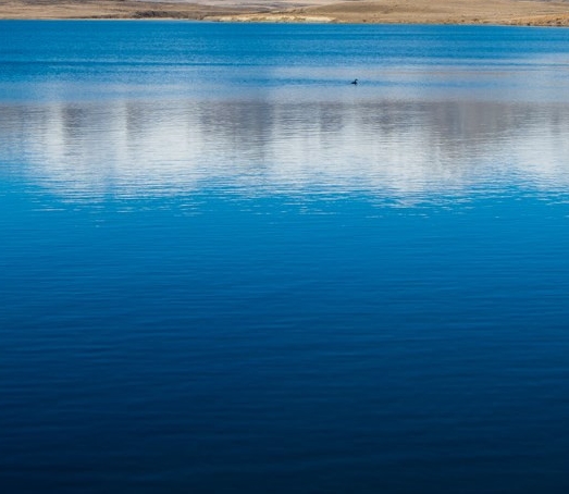 粉象生活粉丝怎么增加