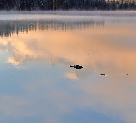 粉象生活卖的东西质量好不好