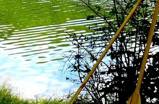 宿迁粉象生活app