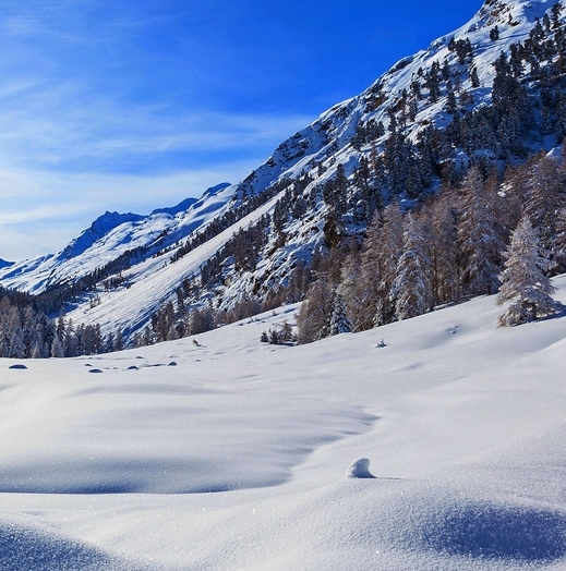 无锡粉象生活下载