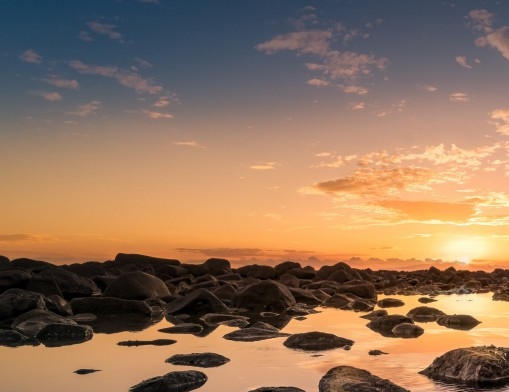 比利时浅粉象啤酒好喝吗