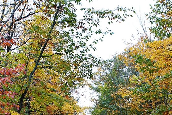 粉象生活哪里开店