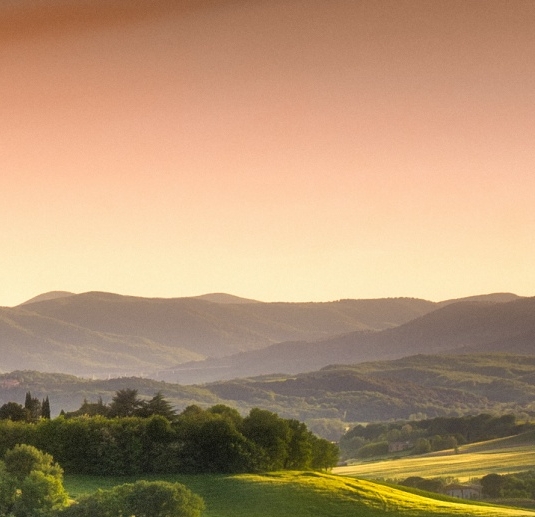 粉象生活官方首页