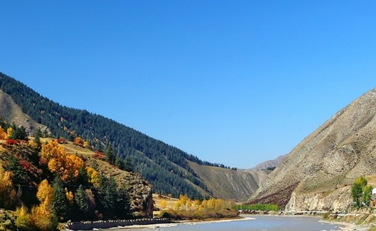 粉象生活新手教学