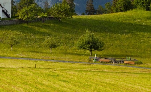 直播明星在监狱的生活小说