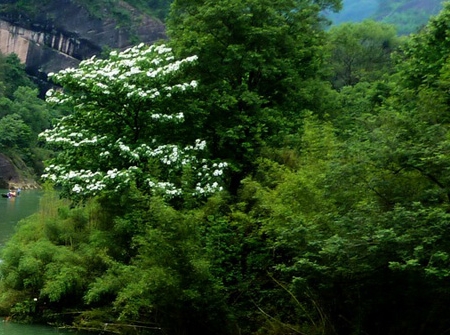 粉象生活购物红包在哪里
